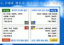 P세대소비자분석보고서 8페이지