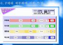 P세대소비자분석보고서 11페이지