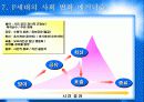 P세대소비자분석보고서 12페이지