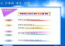 P세대소비자분석보고서 14페이지