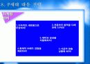 P세대소비자분석보고서 15페이지