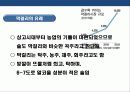 막걸리에대한 이해 및 막걸리 세계화 전략 8페이지
