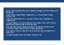 렉서스의 미국시장 성공 전략 한국시장 진출 전략 분석 16페이지