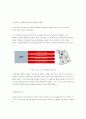 고객서비스 향상을 위해 투자한 KT의 6년 세월 5페이지