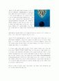 하이테크 마케팅으로 고객을 사로잡자 9페이지