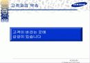 삼성그룹 통합마케팅커뮤니케이션 전략 45페이지