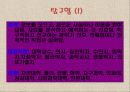 진로탐색검사ppt 23페이지