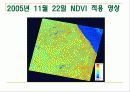 산림지리정보시스템과 Landsat 위성영상을 이용한 강원도 상록수림의 영급과 식생지수 비교 11페이지