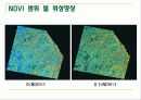 산림지리정보시스템과 Landsat 위성영상을 이용한 강원도 상록수림의 영급과 식생지수 비교 17페이지