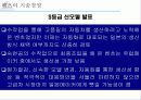 벤츠의 기술경영 사례 44페이지