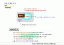 [사업계획서] 고스톱컴 16페이지
