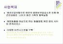 애견보험 사업계힉서 - 발표과제 4페이지