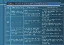 지속성의 구현을 위한 보건과 환경의 통합적인 접근 및 전략적 환경평가의 제도화 방안 12페이지