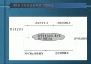 지속성의 구현을 위한 보건과 환경의 통합적인 접근 및 전략적 환경평가의 제도화 방안 25페이지