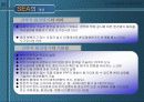 지속성의 구현을 위한 보건과 환경의 통합적인 접근 및 전략적 환경평가의 제도화 방안 52페이지