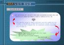 지속성의 구현을 위한 보건과 환경의 통합적인 접근 및 전략적 환경평가의 제도화 방안 58페이지