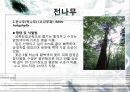 내음성 수종 7페이지