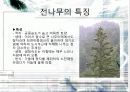 내음성 수종 8페이지