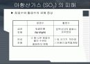 대기오염물질에 의한 수목의 피해 6페이지
