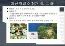 대기오염물질에 의한 수목의 피해 8페이지
