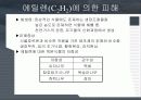 대기오염물질에 의한 수목의 피해 16페이지