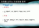 야생동물이 일으키는 피해 3페이지