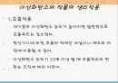 온난화와 원예식물과의 관계 6페이지