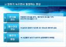 지구온난화의 빙하에 미치는 영향 4페이지