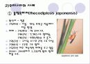 국가간 식물 검역 12페이지