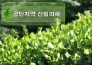 공단지역 산림피해 1페이지