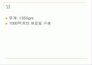 뇌의 구조와 기능 3페이지