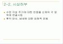 뇌의 구조와 기능 16페이지