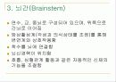 뇌의 구조와 기능 18페이지