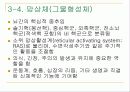 뇌의 구조와 기능 22페이지