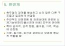뇌의 구조와 기능 24페이지