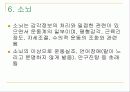 뇌의 구조와 기능 27페이지