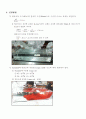 Laboratory Study of Plug Flow Reactors(결과 Report) 4페이지