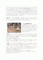 용흥사(龍興寺) 부도(浮屠)군(群)에대한 고찰(考察) 2페이지