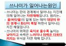 쓰나미가 일어나는 원인 6페이지