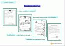 영문회사소개서- Cable assembly & Wire harness etc 부광전자 12페이지