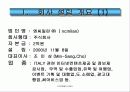 이탈리아 토탈 솔루션 3페이지