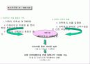 이탈리아 토탈 솔루션 11페이지