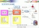 보험회사 고객 캐릭터 개발 4페이지