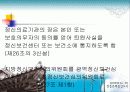 전주시정신보건사업 및 사례관리 29페이지