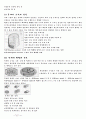 주조의 종류와 특징 4페이지