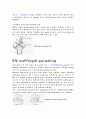 정밀 입자 가공의 종류와 특징 15페이지
