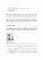정밀 입자 가공의 종류와 특징 19페이지