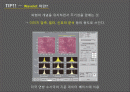 WAVELET TOOL BOX 14장 2페이지