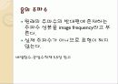 Matlab을 이용한 이미지 필터링과 음파 분석 19페이지