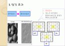 Matlab을 이용한 이미지 필터링과 음파 분석 20페이지